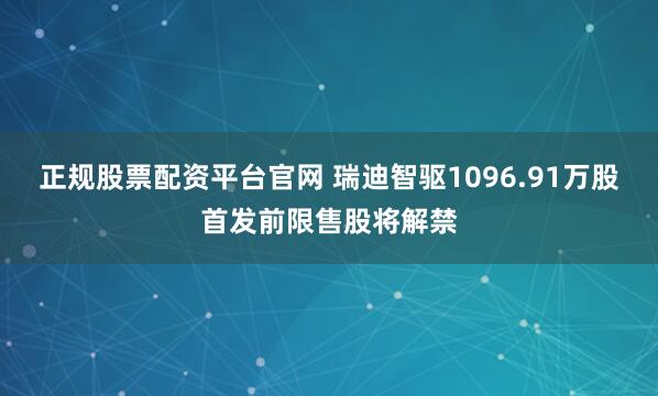 正规股票配资平台官网 瑞迪智驱1096.91万股首发前限售股将解禁